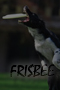 Fotografia sportowa - Frisbee
